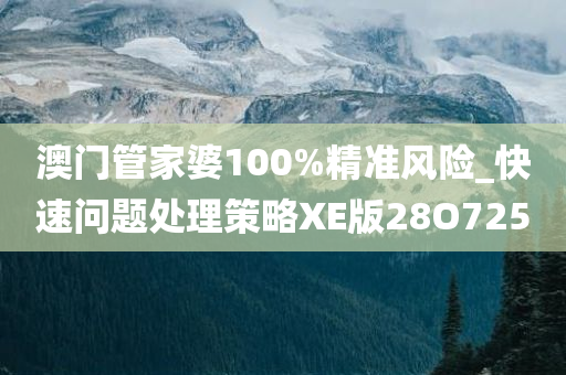 澳门管家婆100%精准风险_快速问题处理策略XE版28O7250