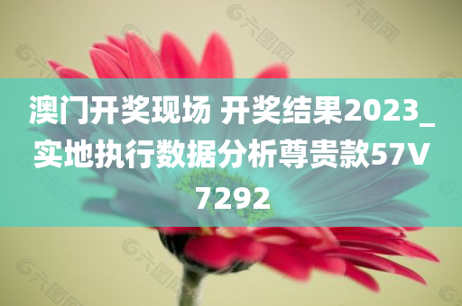 澳门开奖现场 开奖结果2023_实地执行数据分析尊贵款57V7292