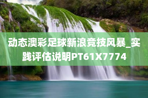 动态澳彩足球新浪竞技风暴_实践评估说明PT61X7774