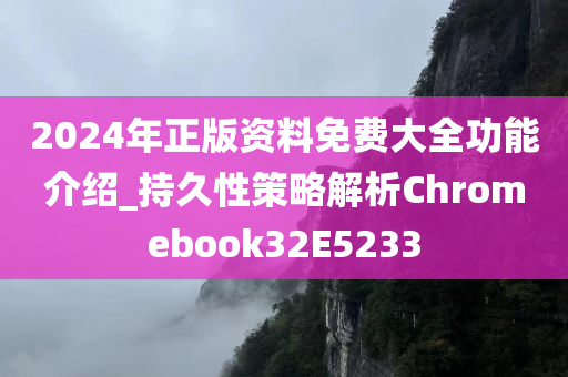 2024年正版资料免费大全功能介绍_持久性策略解析Chromebook32E5233