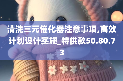 清洗三元催化器注意事项,高效计划设计实施_特供款50.80.73