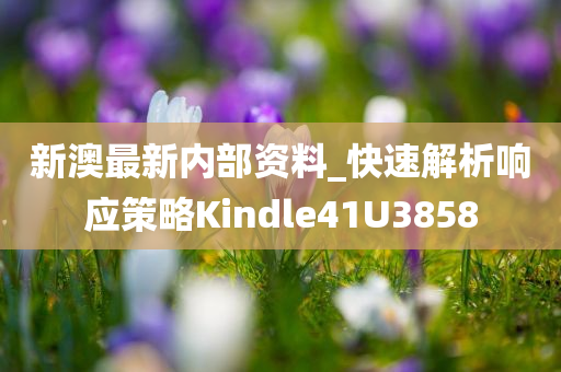 新澳最新内部资料_快速解析响应策略Kindle41U3858