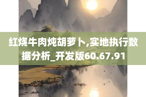 红烧牛肉炖胡萝卜,实地执行数据分析_开发版60.67.91