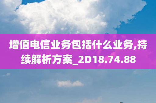 增值电信业务包括什么业务,持续解析方案_2D18.74.88