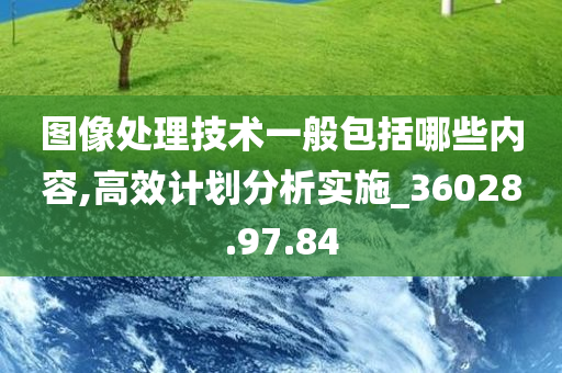 图像处理技术一般包括哪些内容,高效计划分析实施_36028.97.84