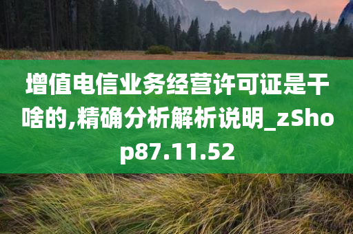 增值电信业务经营许可证是干啥的,精确分析解析说明_zShop87.11.52