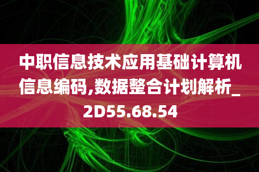 中职信息技术应用基础计算机信息编码,数据整合计划解析_2D55.68.54