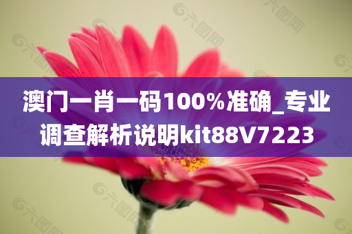 澳门一肖一码100%准确_专业调查解析说明kit88V7223