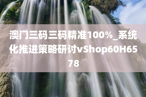 澳门三码三码精准100%_系统化推进策略研讨vShop60H6578