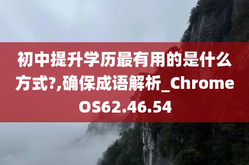 初中提升学历最有用的是什么方式?,确保成语解析_ChromeOS62.46.54