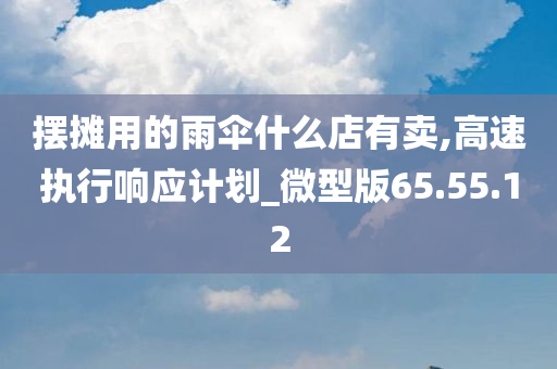 摆摊用的雨伞什么店有卖,高速执行响应计划_微型版65.55.12