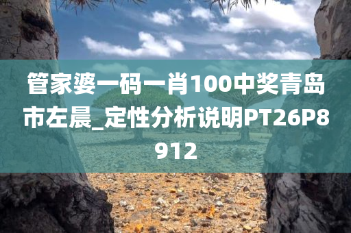 管家婆一码一肖100中奖青岛市左晨_定性分析说明PT26P8912