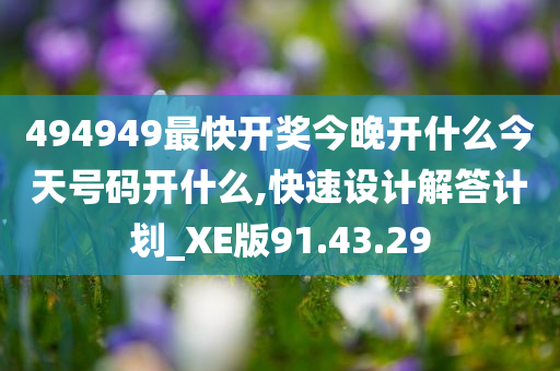 494949最快开奖今晚开什么今天号码开什么,快速设计解答计划_XE版91.43.29