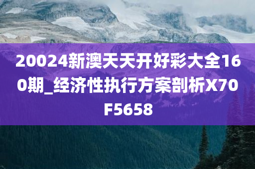 20024新澳天天开好彩大全160期_经济性执行方案剖析X70F5658