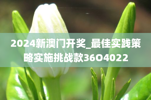 2024新澳门开奖_最佳实践策略实施挑战款36O4022