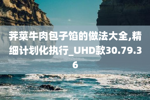 荠菜牛肉包子馅的做法大全,精细计划化执行_UHD款30.79.36