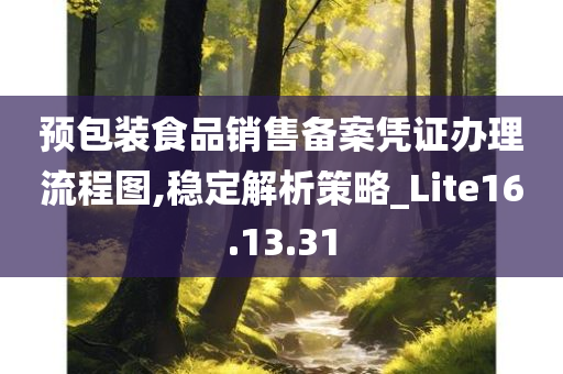 预包装食品销售备案凭证办理流程图,稳定解析策略_Lite16.13.31