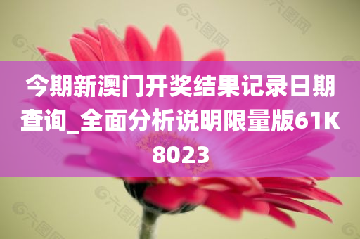 今期新澳门开奖结果记录日期查询_全面分析说明限量版61K8023