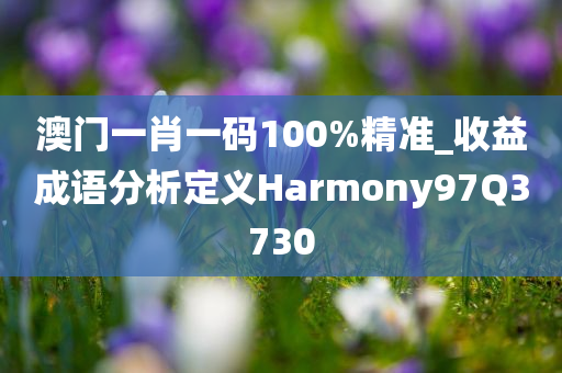 澳门一肖一码100%精准_收益成语分析定义Harmony97Q3730