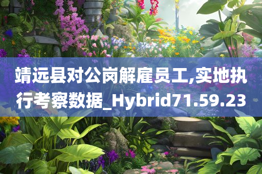 靖远县对公岗解雇员工,实地执行考察数据_Hybrid71.59.23