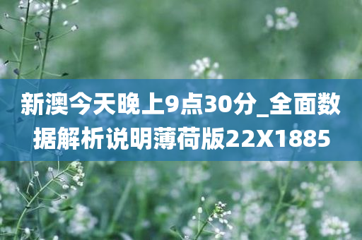 新澳今天晚上9点30分_全面数据解析说明薄荷版22X1885