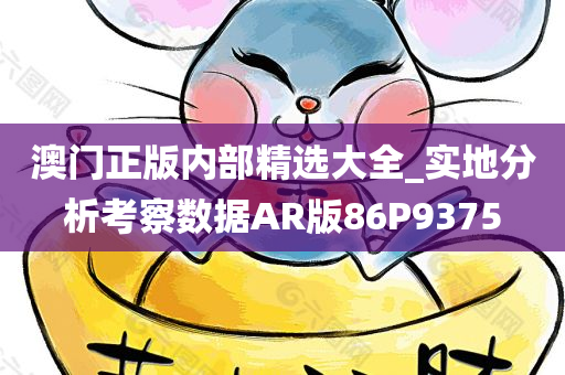 澳门正版内部精选大全_实地分析考察数据AR版86P9375