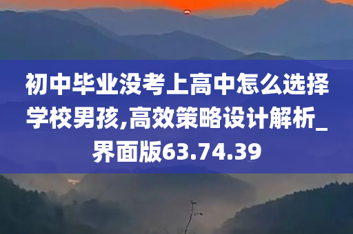 初中毕业没考上高中怎么选择学校男孩,高效策略设计解析_界面版63.74.39