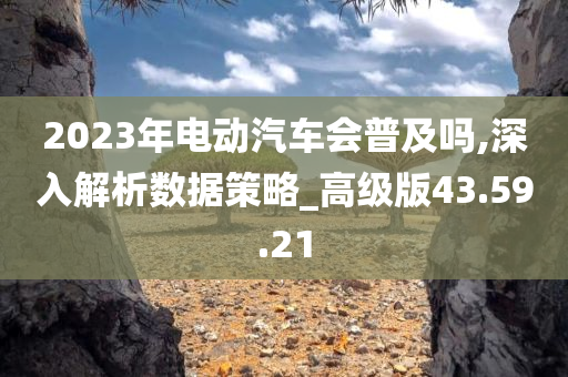 2023年电动汽车会普及吗,深入解析数据策略_高级版43.59.21