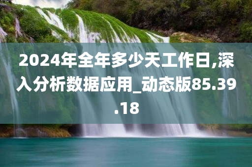 2024年全年多少天工作日,深入分析数据应用_动态版85.39.18