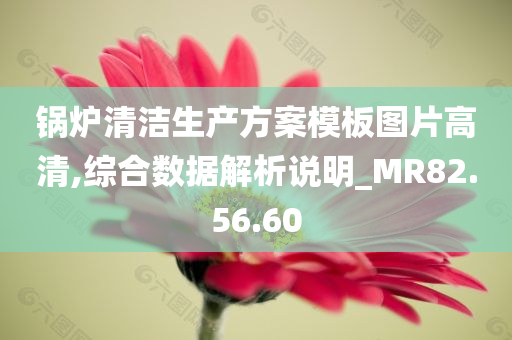 锅炉清洁生产方案模板图片高清,综合数据解析说明_MR82.56.60