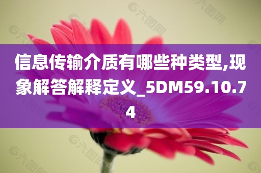 信息传输介质有哪些种类型,现象解答解释定义_5DM59.10.74