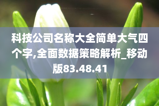 科技公司名称大全简单大气四个字,全面数据策略解析_移动版83.48.41