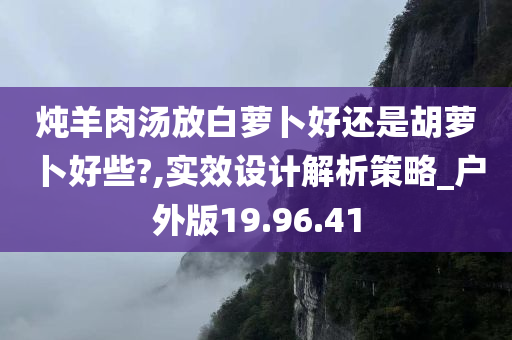 炖羊肉汤放白萝卜好还是胡萝卜好些?,实效设计解析策略_户外版19.96.41