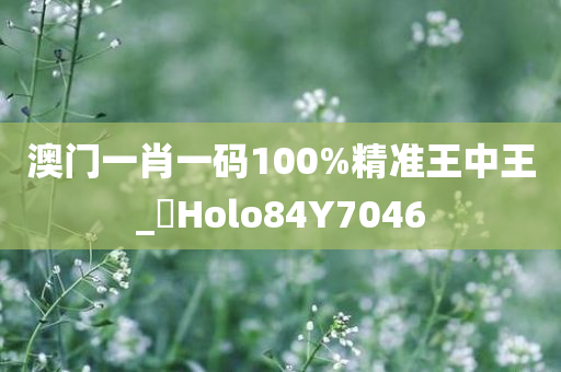 澳门一肖一码100%精准王中王_門Holo84Y7046