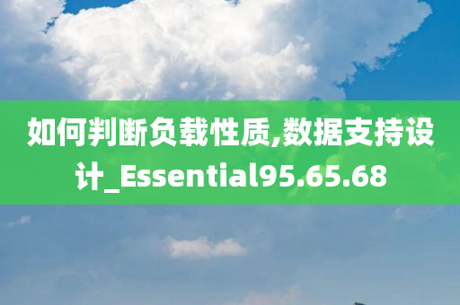 如何判断负载性质,数据支持设计_Essential95.65.68