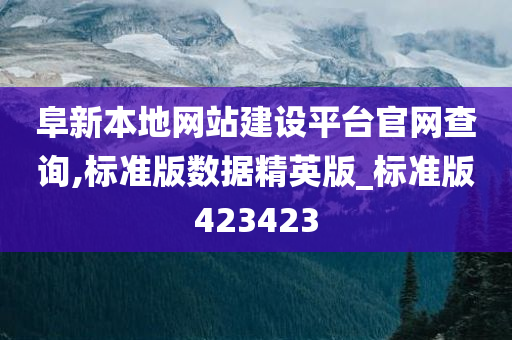 阜新本地网站建设平台官网查询,标准版数据精英版_标准版423423