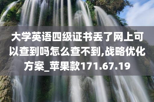 大学英语四级证书丢了网上可以查到吗怎么查不到,战略优化方案_苹果款171.67.19