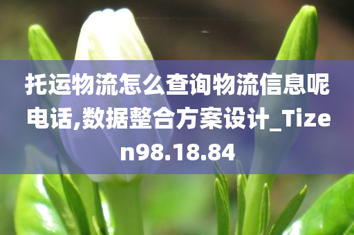 托运物流怎么查询物流信息呢电话,数据整合方案设计_Tizen98.18.84