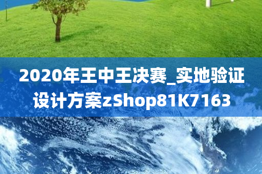 2020年王中王决赛_实地验证设计方案zShop81K7163