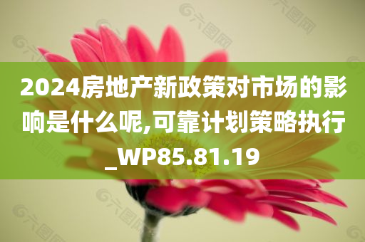 2024房地产新政策对市场的影响是什么呢,可靠计划策略执行_WP85.81.19