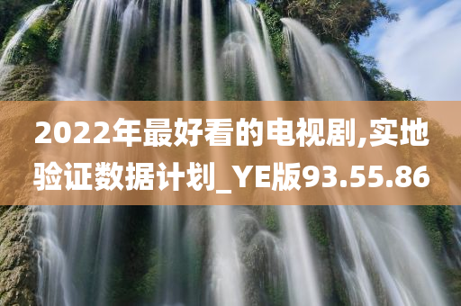 2022年最好看的电视剧,实地验证数据计划_YE版93.55.86