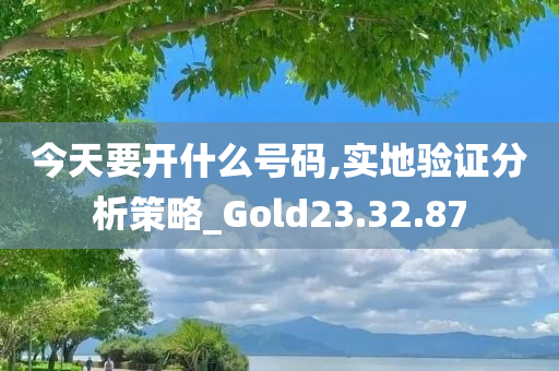 今天要开什么号码,实地验证分析策略_Gold23.32.87