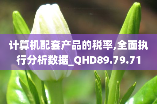 计算机配套产品的税率,全面执行分析数据_QHD89.79.71