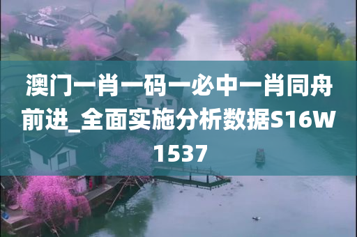 澳门一肖一码一必中一肖同舟前进_全面实施分析数据S16W1537