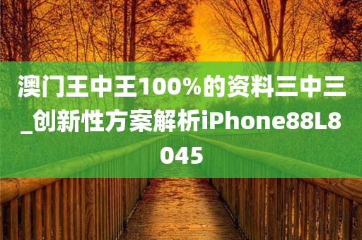 澳门王中王100%的资料三中三_创新性方案解析iPhone88L8045