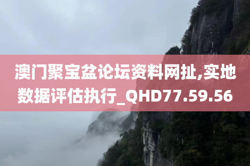 澳门聚宝盆论坛资料网扯,实地数据评估执行_QHD77.59.56