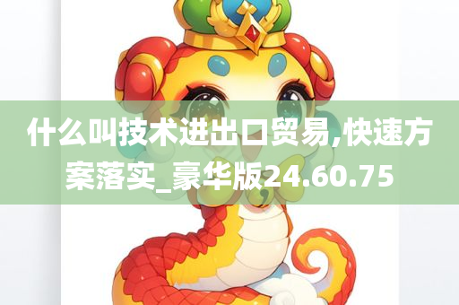 什么叫技术进出口贸易,快速方案落实_豪华版24.60.75