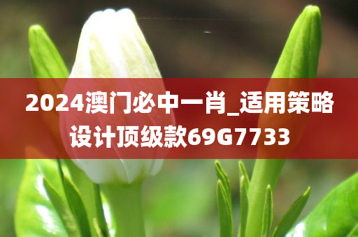 2024澳门必中一肖_适用策略设计顶级款69G7733