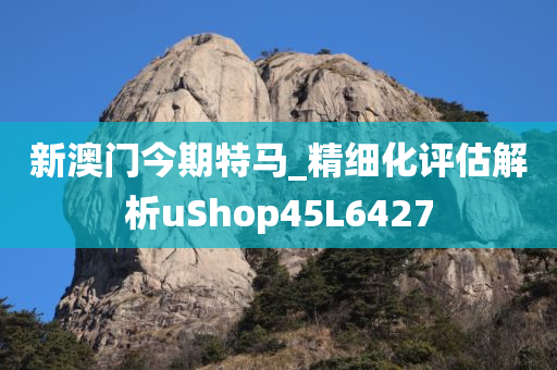 新澳门今期特马_精细化评估解析uShop45L6427