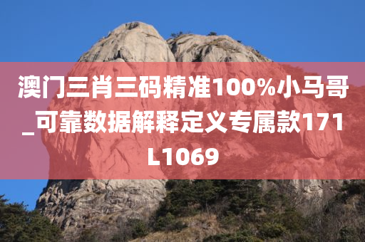 澳门三肖三码精准100%小马哥_可靠数据解释定义专属款171L1069